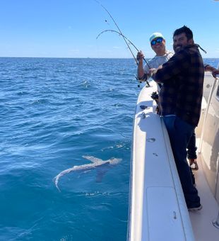 South Carolina Fishing: Where Memories Are Created