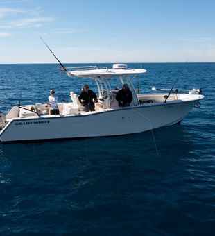 Discover the Fishing Charters in Charleston, SC!