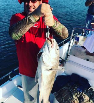 Beautiful Apalachicola redfish making the day unforgettable!