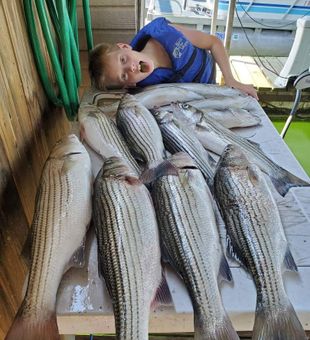 Young Angler and Stripers almost as big as him - Pottsboro, TX.