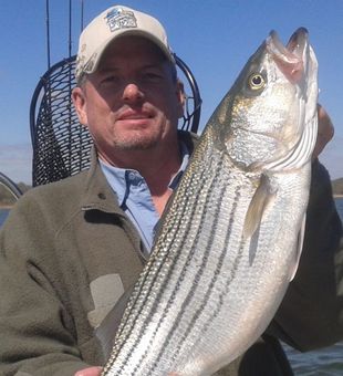 Stripers Sizes here does not disappoint - Pottsboro, TX.