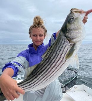 Cape Cod Striper Fishing