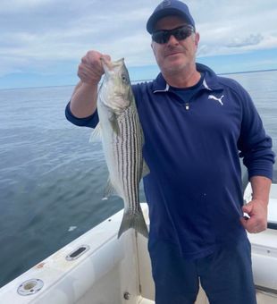 Bass fishing in Cape Cod