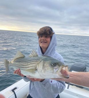 Striped Bass Fishing in Cape Cod