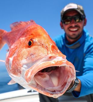 Red Snapper FIshing