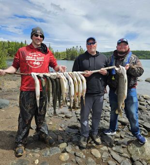 Outstanding lake trout action in Nipigon ON!