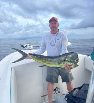 Mahi Mahi in Charleston, SC