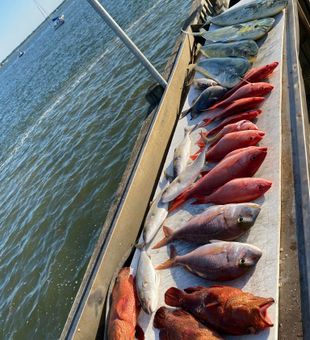 Mahi-mahi, Red Snapper and more in Charleston, SC