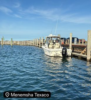 Smooth Boston Harbor fishing charter at the dock
