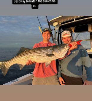 Golden sunrise striped bass Boston fishing charter