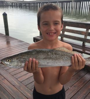 Sea Trout Fishing  in Port Aransas, TX