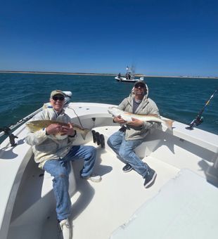 Trophy sized catches carried like a baby!
