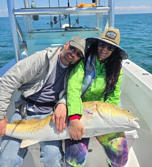 Dinner date later, fish about to be served!