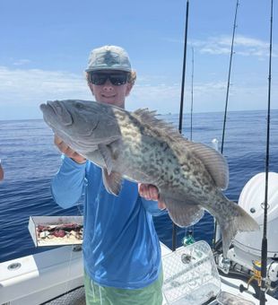 Florida Gulf Grouper Adventures