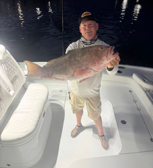 Reel In Red Grouper Clearwater