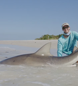 Clean Bull Shark catch in daylight!