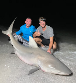 Massive Bull Shark, proud night catch!