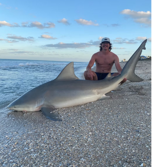 Clean Bull Shark landed at sunrise!
