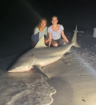Impressive Bull Shark, night success!