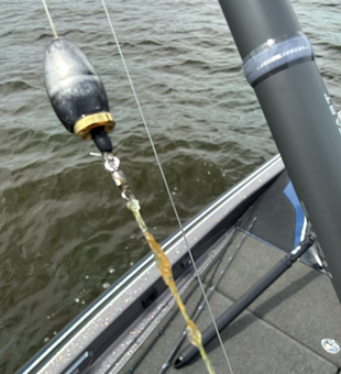 Ready for action at Bois D'Arc Lake!