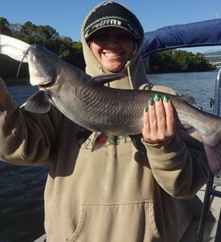 Prime Catfish Spots in Tennessee