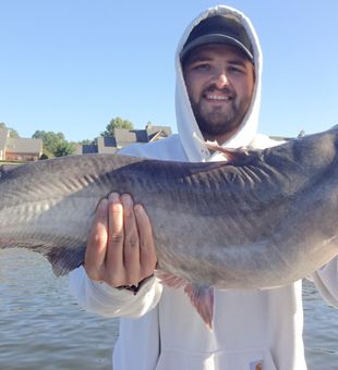 Scenic Chattanooga Catfish Adventures