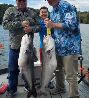 Reel in Tennessee's Catfish Bounty