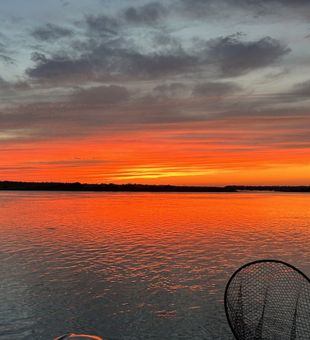 Experience a family-friendly eco tour in St. Augustine FL with Captain Clay and discover local birds, marine life, and hidden backwater scenery along Florida’s historic coastline.