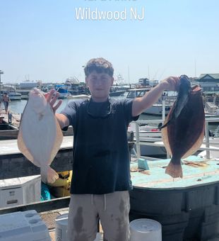 Nice summer flounder from Wildwood NJ waters!