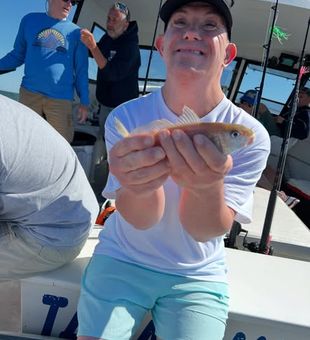 Look how happy they are out in the ocean!