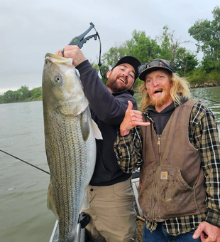 Calm waters, steady catches