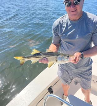 Discover the thrill of fishing in Islamorada.