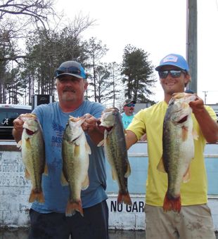 Four solid largemouth bass haul!