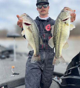 Double bass success in Ridgeland MS!