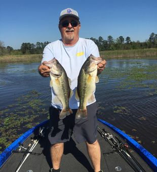 Two hefty largemouth bass landed!