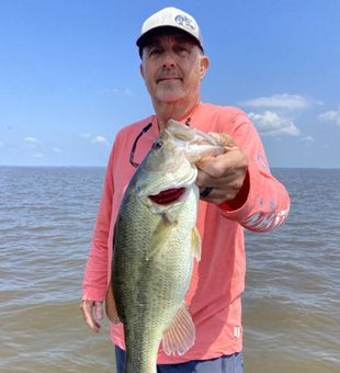 Large Mouth Bass -Ridgeland, MS.
