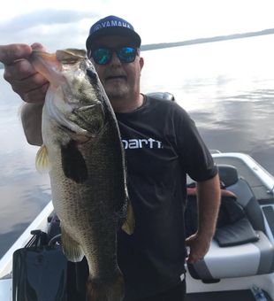 Massive largemouth bass catch!