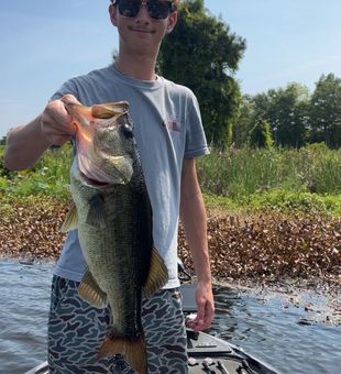 Live scoping 4 pounders!
