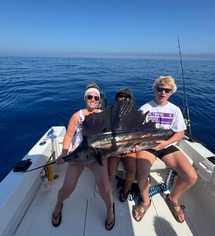 Epic sailfish catch on calm blue waters