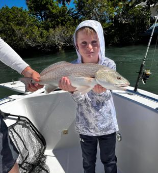 Beautiful Jensen Beach redfish ready for the photo!