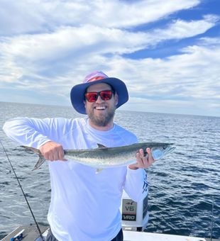 Spanish Mackerel reeled in  - Panama City, FL.