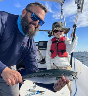 Black Skipjack Baby  - Panama City, FL.