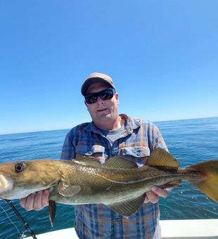 Atlantic Pollock - Orange, CT.