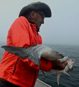 Big inshore catch in Narragansett