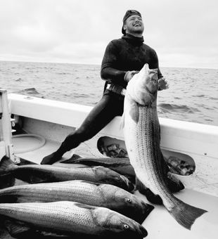 Massive striped bass victory!