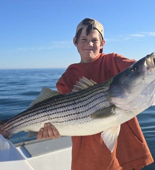 Catch of the day—Rhode Island style