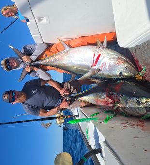 Double yellowfin tuna success in Narragansett waters!