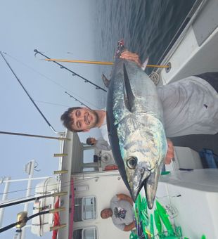 Massive yellowfin tuna from Narragansett waters!