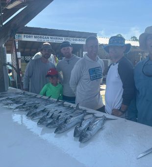 Sharp Spanish mackerel catch.