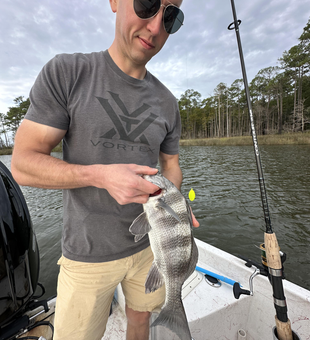 Nice black drum from Fort Morgan Marina using multiple techniques.